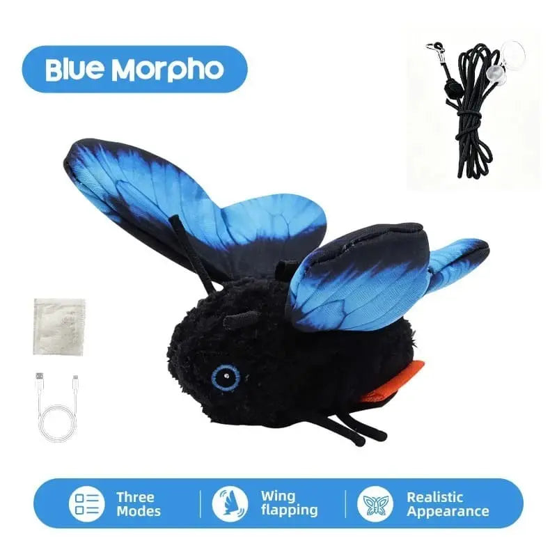 Blue Morpho Butterfly