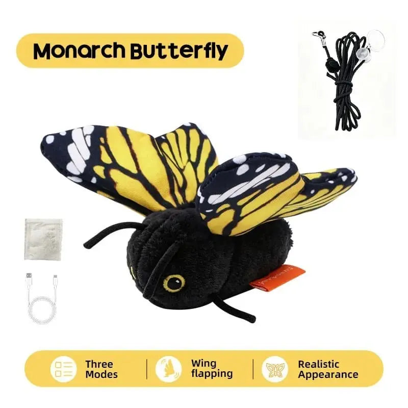 Monarch Butterfly