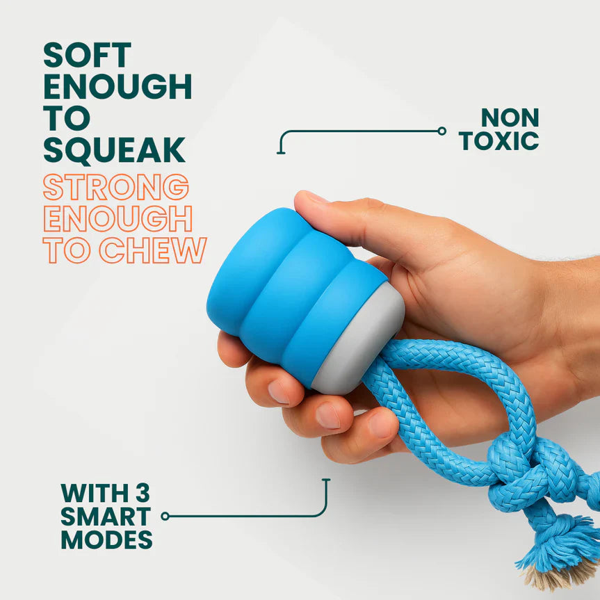 The Chase Buddy Dog Boredom Stimulating Toy